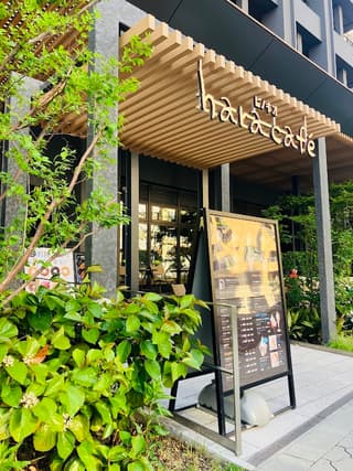 hara cafe ピノキオ ザ・ファインタワー大手前店