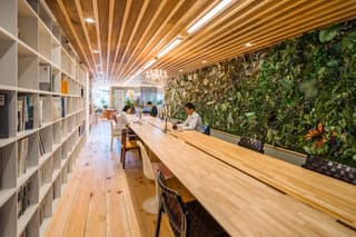 森と川に咲く花