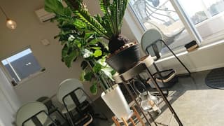 アッコリエンテ·カフェ