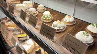 ディズウィット