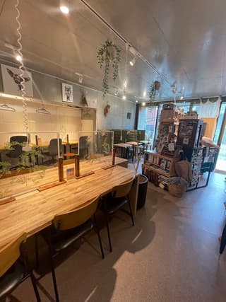 ドロップイン専門