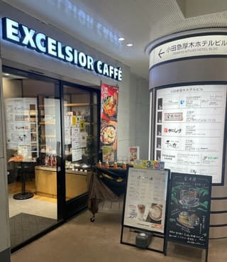 エクセルシオール カフェ 本厚木駅店