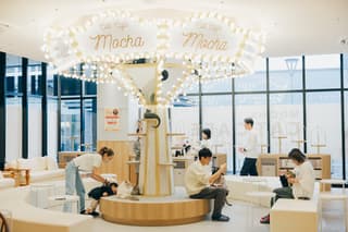 猫カフェMOCHA(モカ)イオンモール松本店