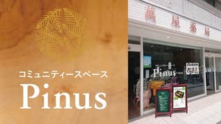Pinusカフェ