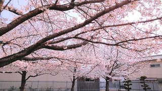 大和郡山市南部公民館