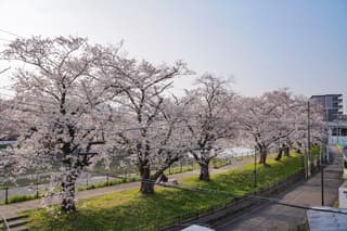 Collabo Earth E9（コラボアースイーナイン）