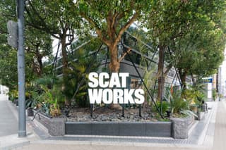 保護猫カフェ・猫専門トリミングサロン併設のコワーキングスペース【SCAT WORKS 】