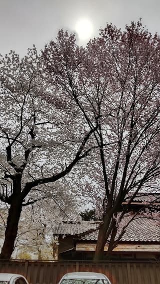 コアフィールド モリオカ