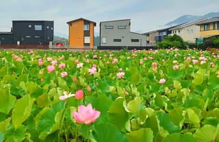 土佐市 蓮池コミュニティセンター