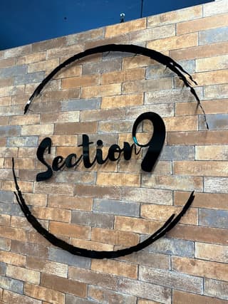 Section9