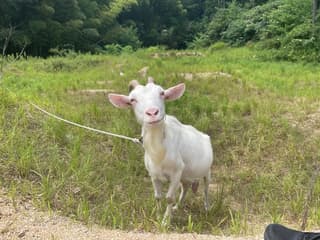 古民家交流スペース 「DANDANBASE」（だんだんべーす）