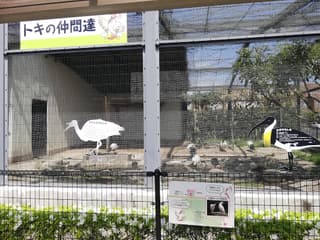 出雲市トキ学習コーナー