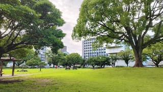 中央公民館図書室
