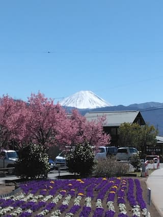 昭和町立図書館