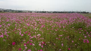 東員町立図書館