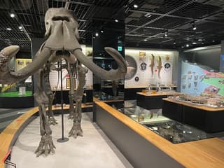 高松市こども未来館(高松ミライエ)