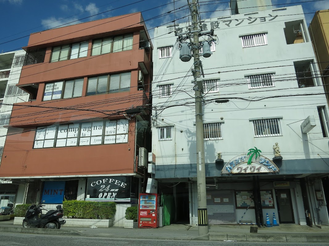 ミント