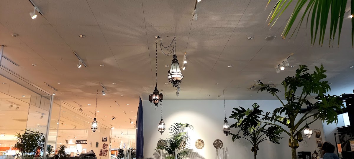 MOA Cafe 新潟TIF店｜新潟市西区・東京インテリア新潟店併設