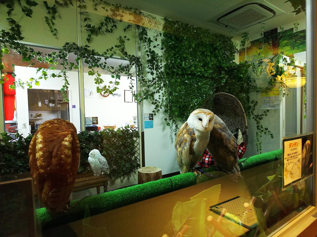 ふくろうカフェ アウルの城