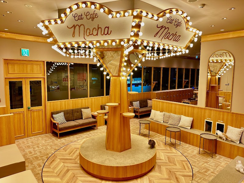 猫カフェMOCHA(モカ) イオンモール徳島店