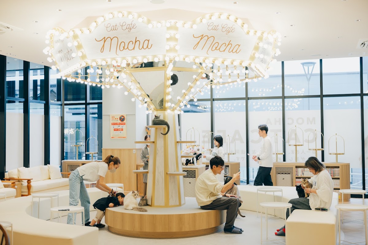 猫カフェMOCHA(モカ)イオンモール松本店