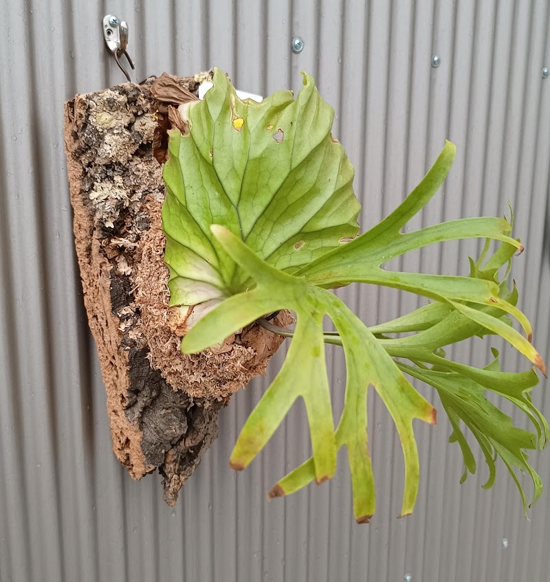 opossum（オポッサム）