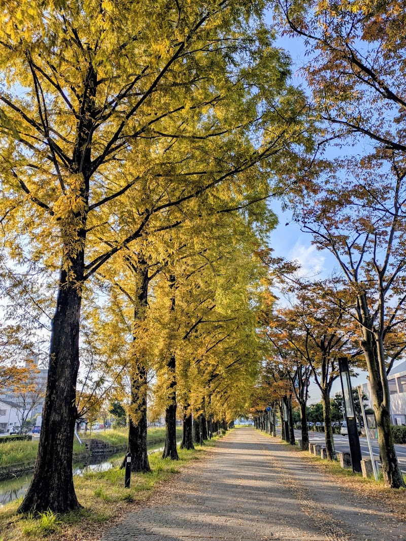 どんどんどんの森