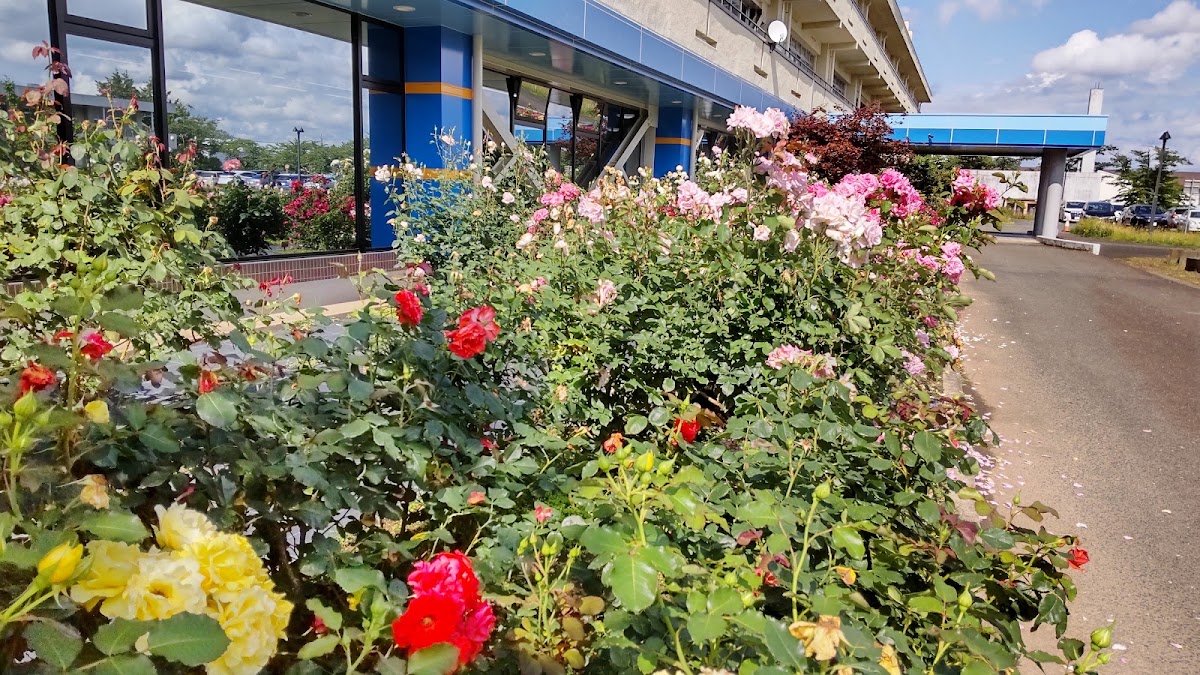 まなび学園(生涯学園都市会館)