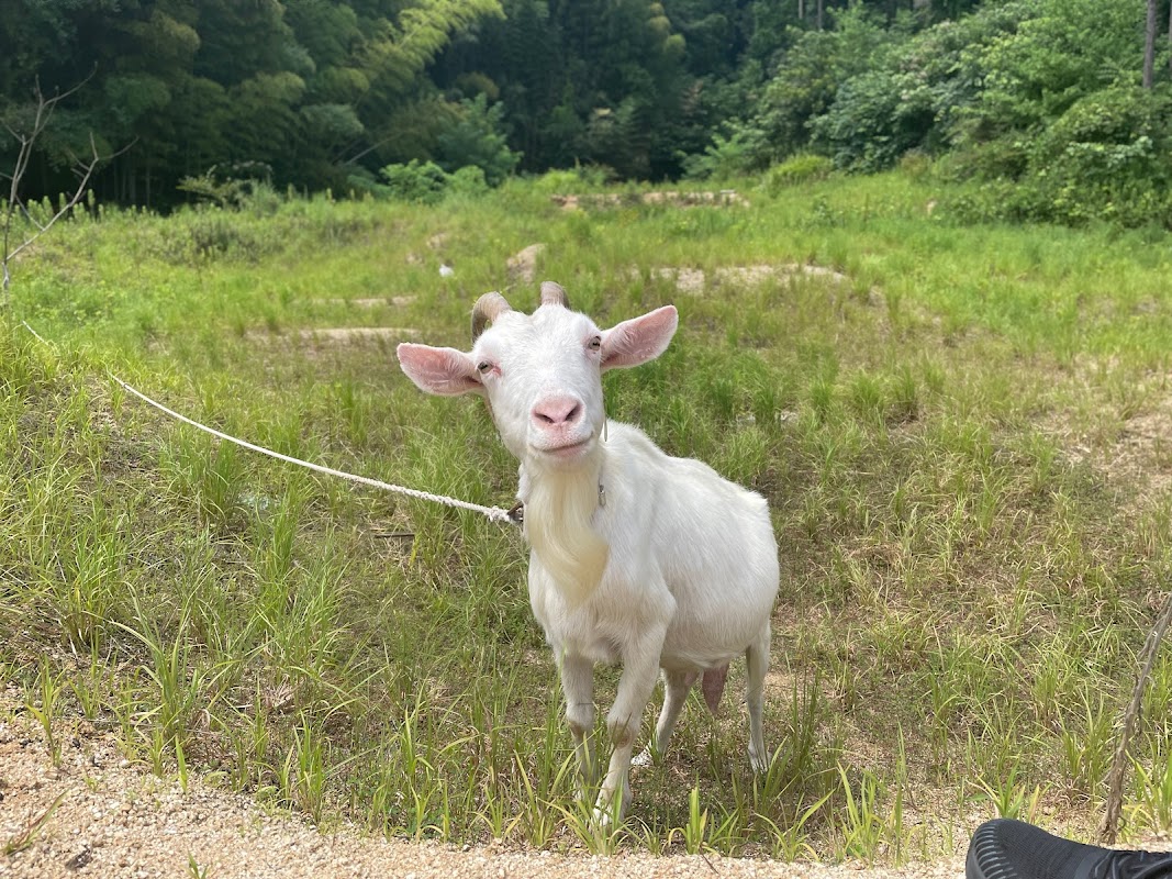 古民家交流スペース 「DANDANBASE」（だんだんべーす）