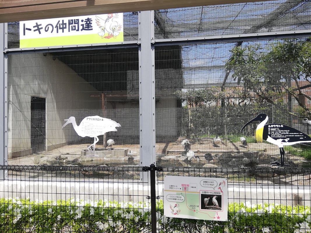 出雲市トキ学習コーナー