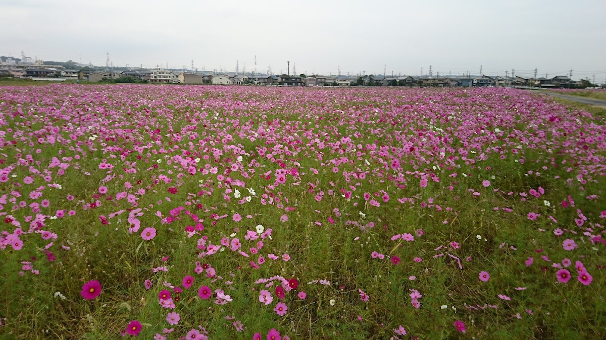 東員町立図書館
