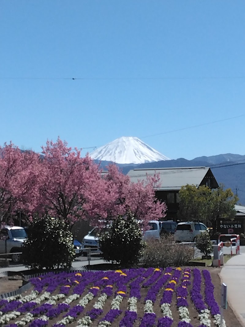 昭和町立図書館