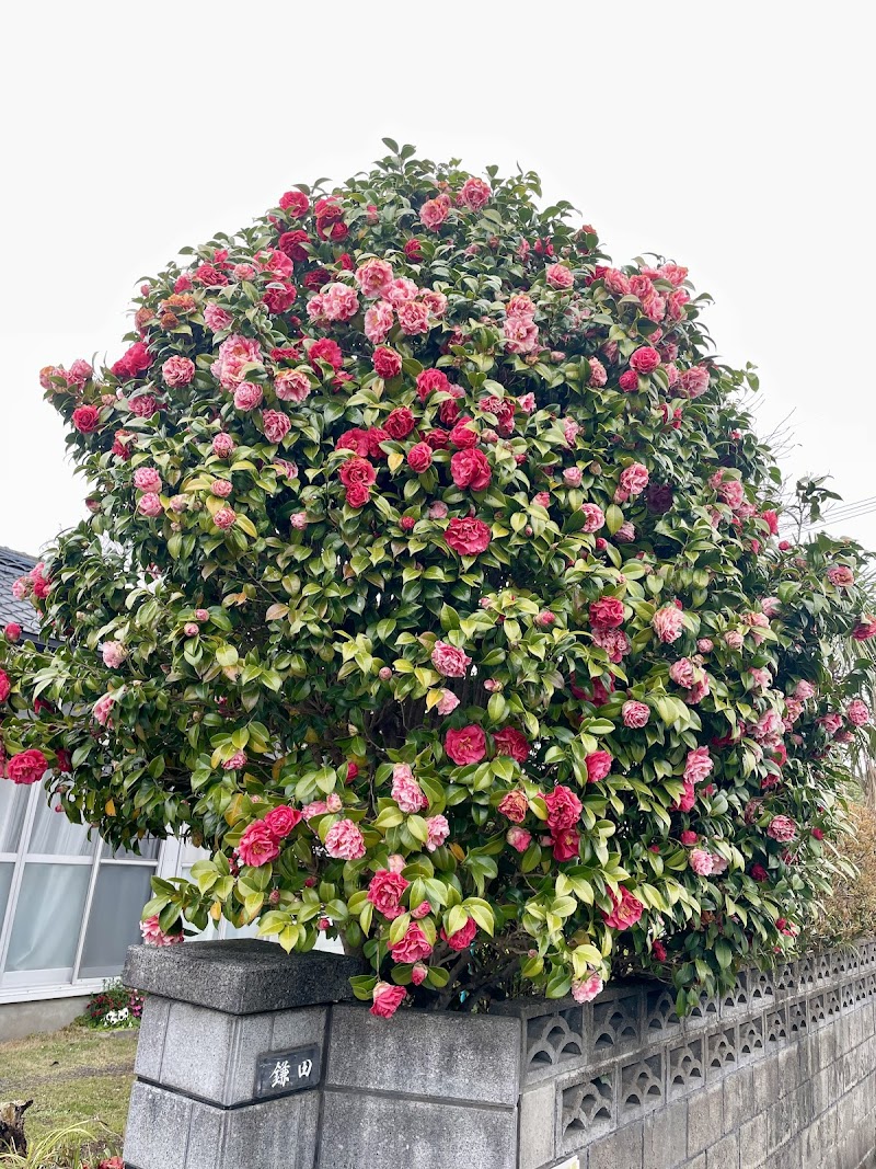 宮崎公立大学 附属図書館
