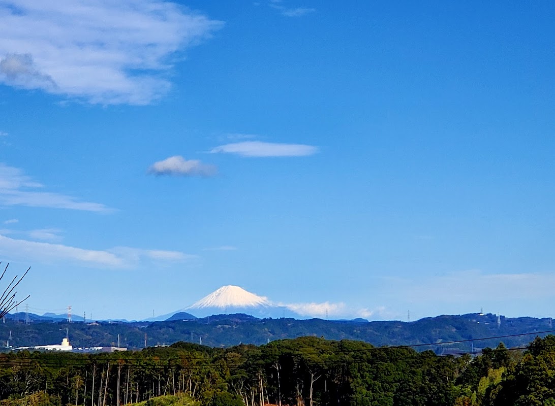 EduGate81(自習室8)